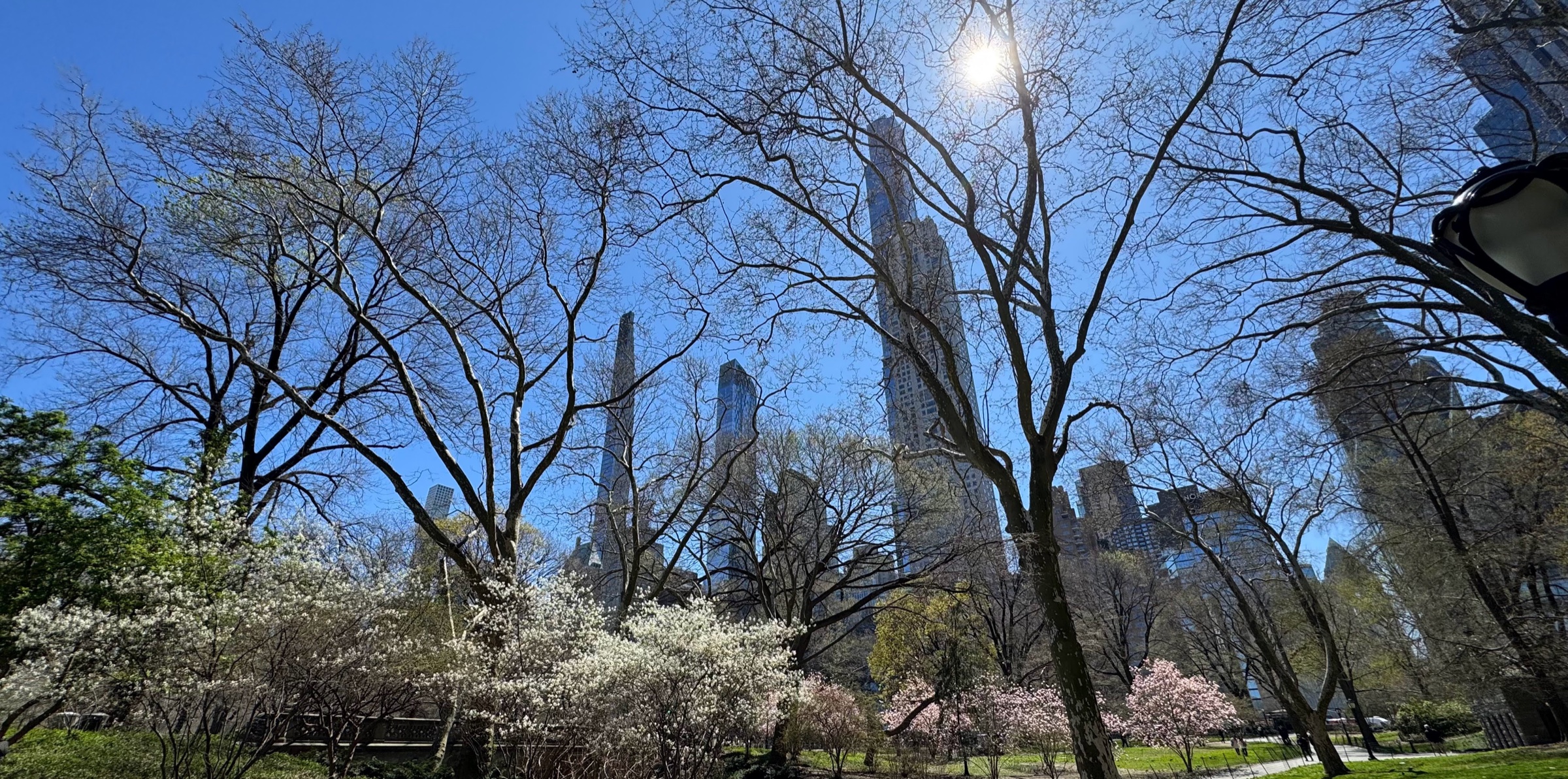 Walking NYC
